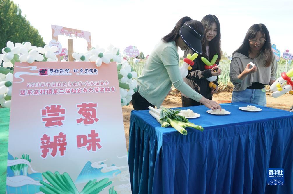 b888博一把白菜论
